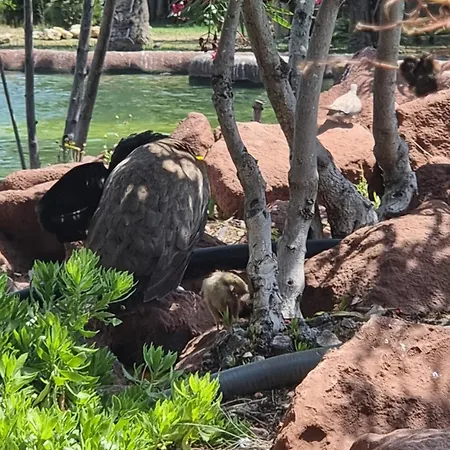 Apartamento La Siesta