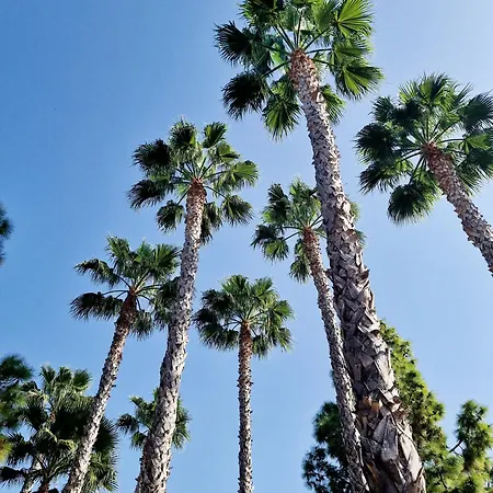 La Siesta Torrevieja