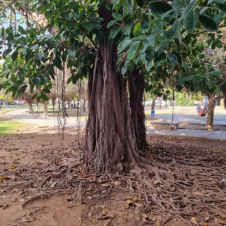 La Siesta Apartamento