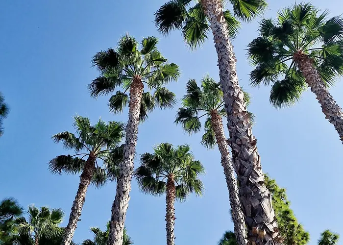 La Siesta Torrevieja